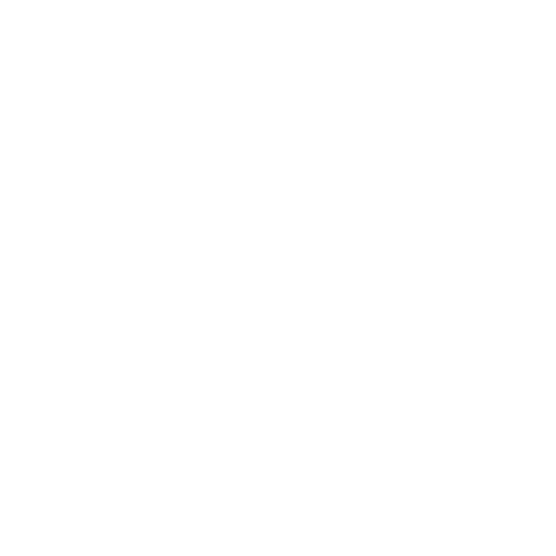Videalize